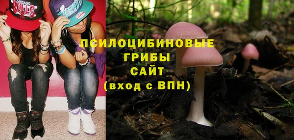 СК Киренск