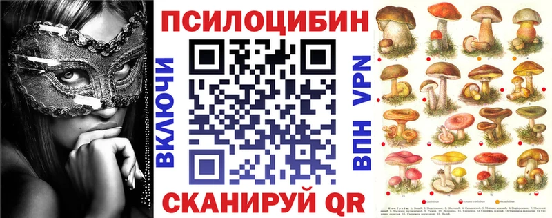 Галлюциногенные грибы Cubensis  Кирсанов 